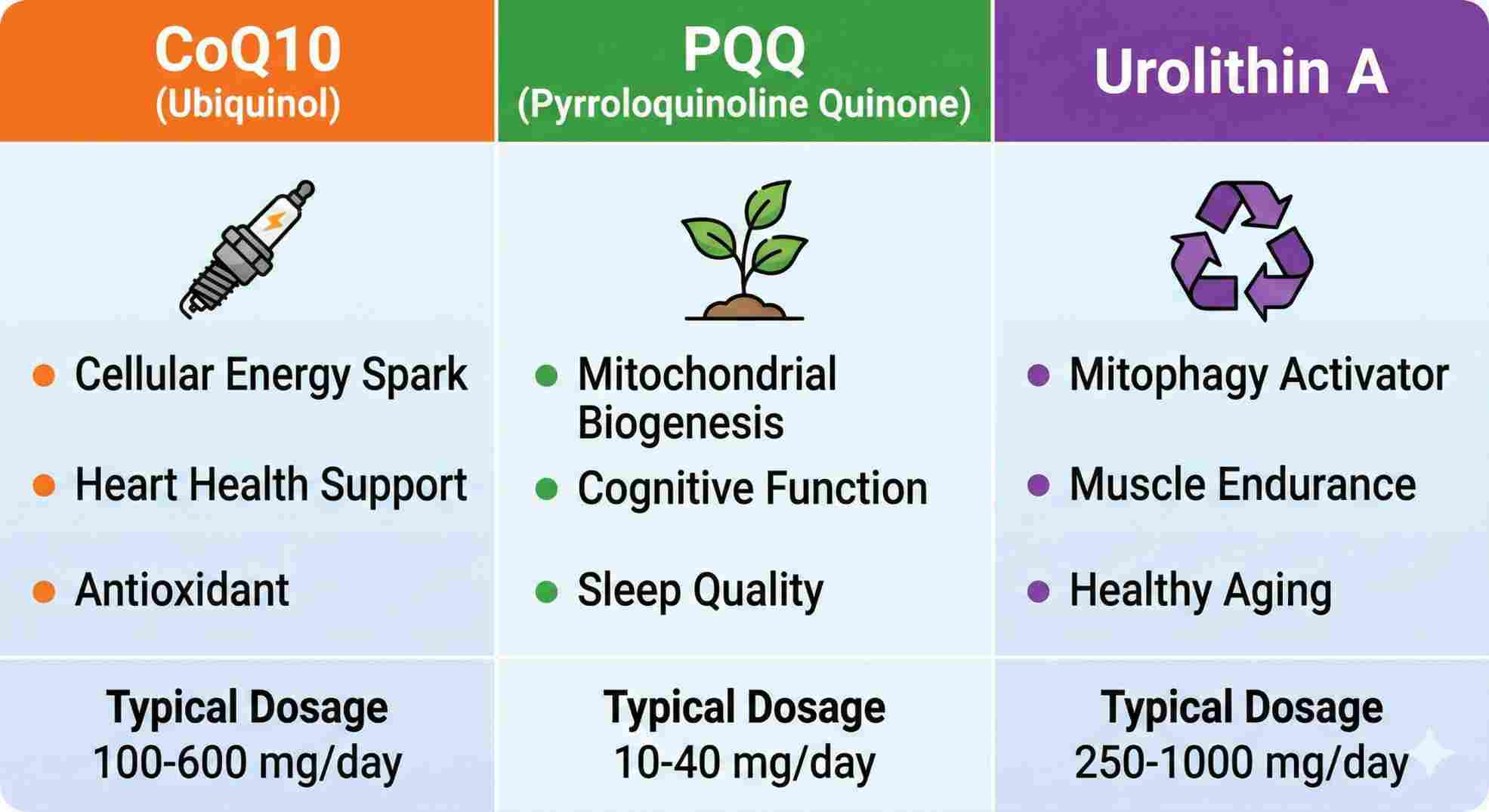 Best supplements for repairing mitochondria and increasing cellular energy