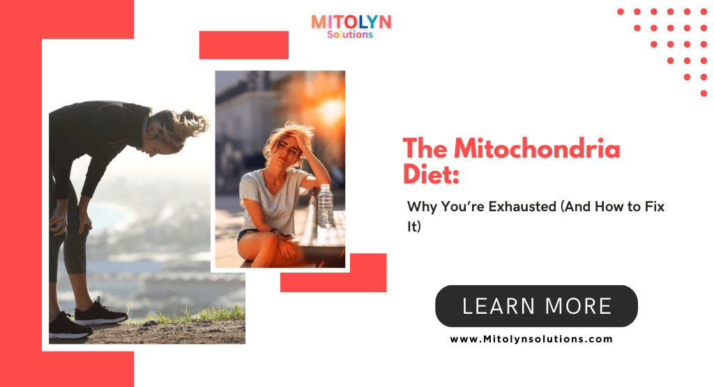 The Mitochondria Diet: Why You’re Exhausted (And How to Fix It)