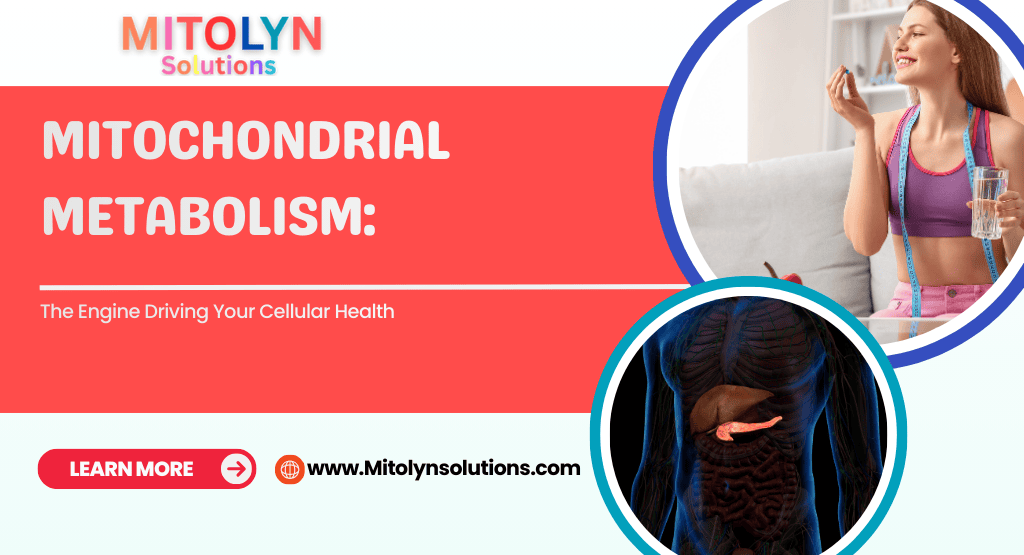 Mitochondrial Metabolism: The Engine Driving Your Cellular Health