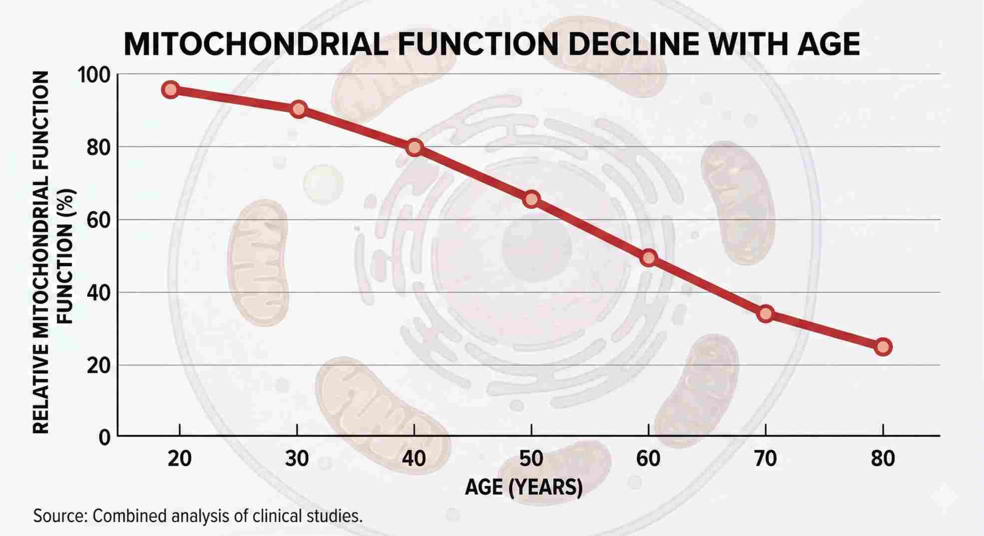 Mitochondrial function decline age graph 30 to 70