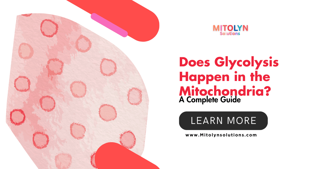 Does Glycolysis Happen in the Mitochondria? A Complete Guide