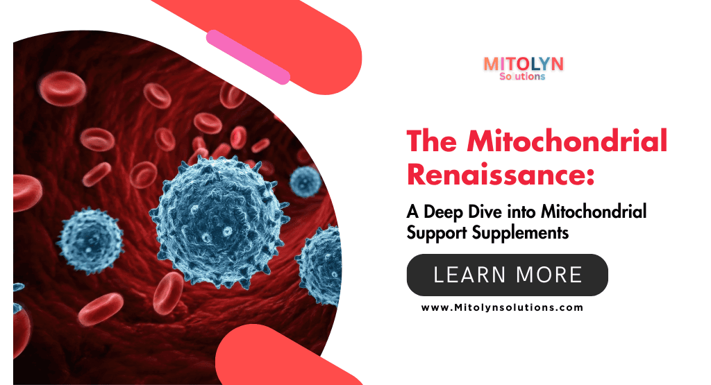 The Mitochondrial Renaissance: A Deep Dive into Mitochondrial Support Supplements
